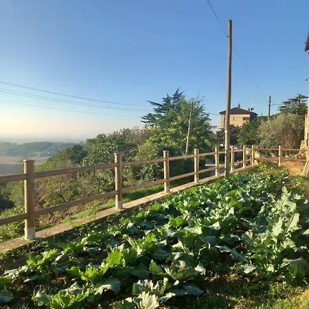 Il Cortile Di Greta Bed & Breakfast *