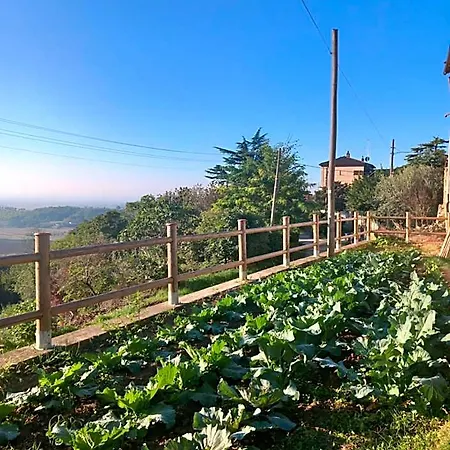 Il Cortile Di Greta Panzió 3*
