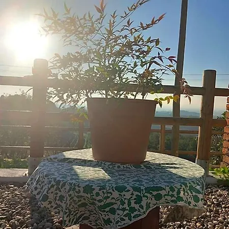 Il Cortile Di Greta